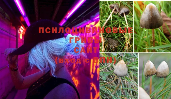 каннабис Абаза