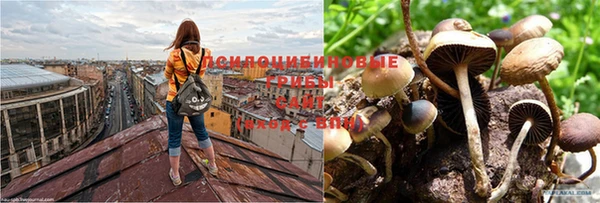 соль ск Алексеевка