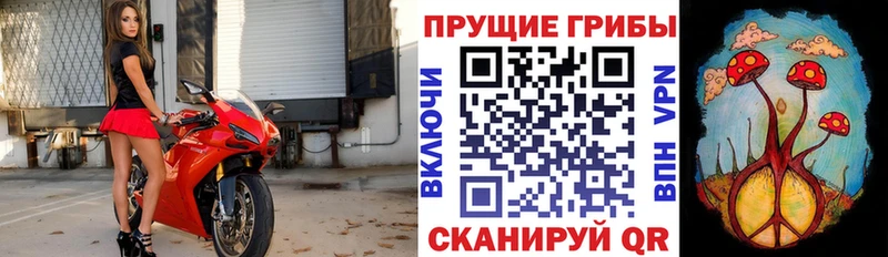 Галлюциногенные грибы Psilocybine cubensis  Юхнов 